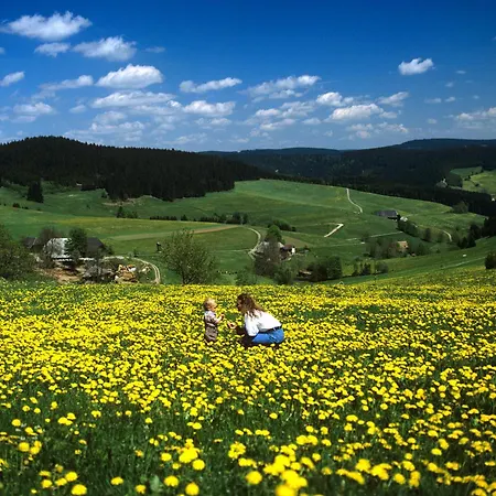 Waldeck Mit Restaurant 