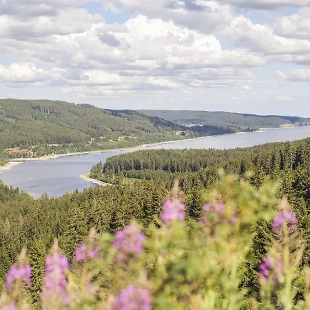 Waldeck Mit Restaurant 