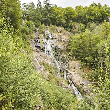 Hotell Waldeck Mit Restaurant 