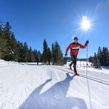 Otel Waldeck Mit Restaurant 
