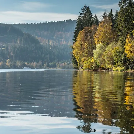 ホテル Waldeck Mit Restaurant 