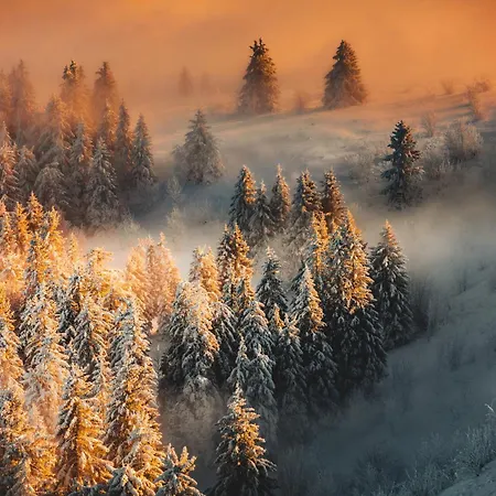 Waldeck Mit Restaurant 