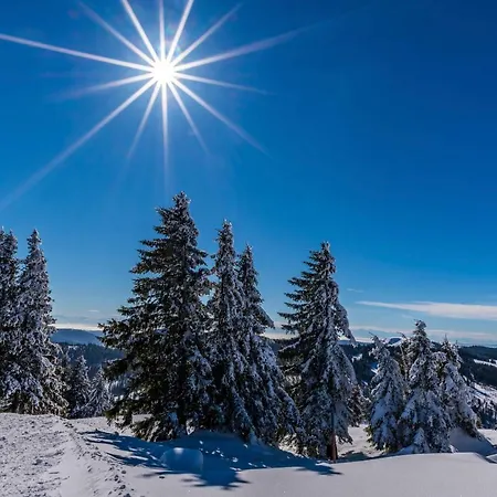 Hotell Waldeck Mit Restaurant 