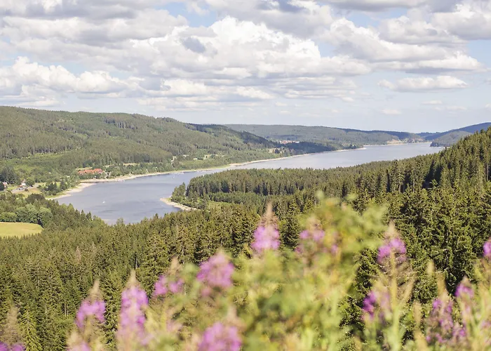 Waldeck Mit Restaurant 