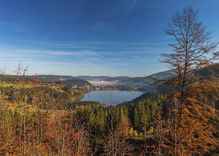 Waldeck Mit Restaurant 