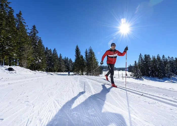 فندق Waldeck Mit Restaurant 