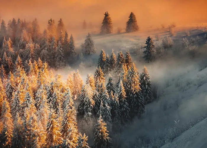 Waldeck Mit Restaurant 