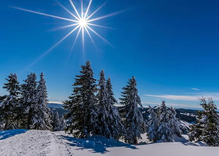 Otel Waldeck Mit Restaurant 